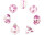 Würfelset Transparent: Pink Princess